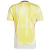 Maillot de Foot Juventus Exterieur 2024-25